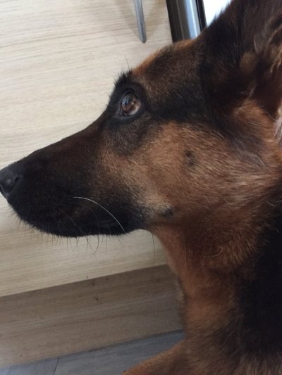 Watch Kirsty's leaked NSFW photo on TwXstars