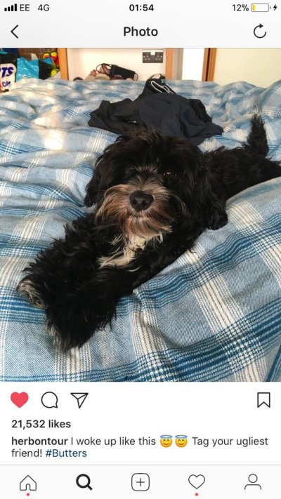 Watch Kirsty's leaked NSFW photo on TwXstars