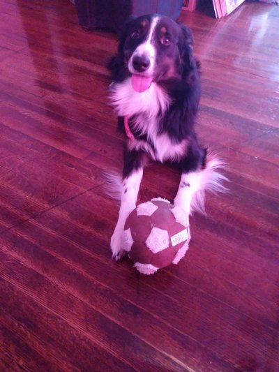 Watch NinjaStarz Offical 🔞's leaked NSFW photo on TwXstars