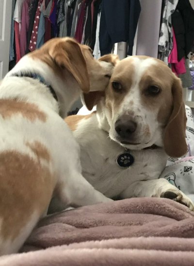 Watch Cody's leaked NSFW photo on TwXstars