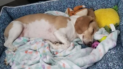 Watch Cody's leaked NSFW photo on TwXstars