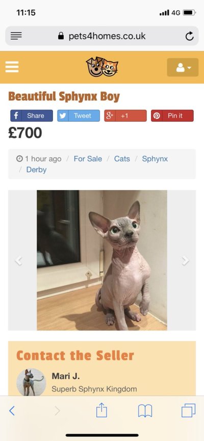 Watch Kirsty's leaked NSFW photo on TwXstars