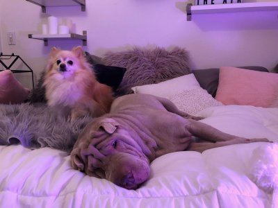 Watch Fauna Grey's leaked NSFW photo on TwXstars