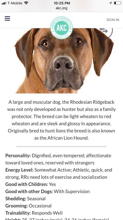 Watch Roxy Raye's leaked NSFW photo on TwXstars