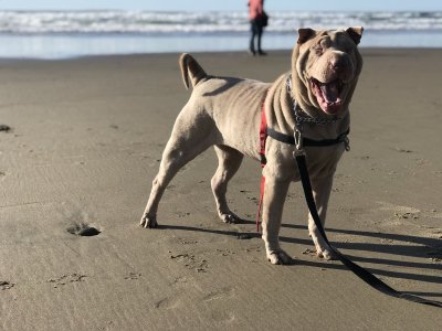 Watch Fauna Grey's leaked NSFW photo on TwXstars