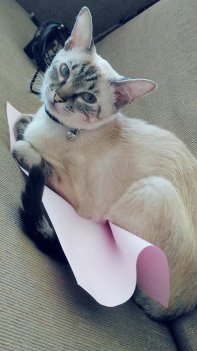 Watch Giu Hellsing's leaked NSFW photo on TwXstars