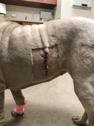 Watch Fauna Grey's leaked NSFW photo on TwXstars