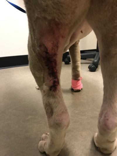 Watch Fauna Grey's leaked NSFW photo on TwXstars