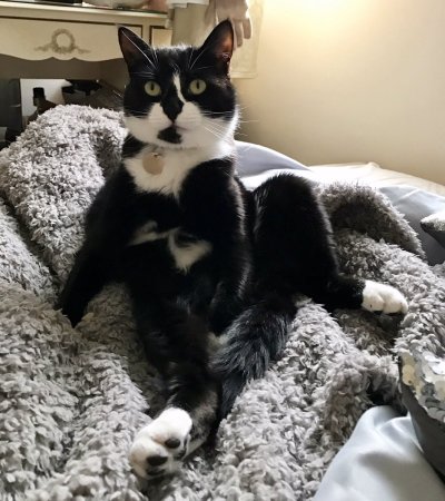 Watch 𝐊𝐞𝐥𝐥𝐲𝐛𝐬𝐰𝐨𝐫𝐥𝐝😻's leaked NSFW photo on TwXstars