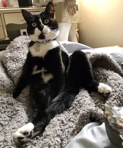 Watch 𝐊𝐞𝐥𝐥𝐲𝐛𝐬𝐰𝐨𝐫𝐥𝐝😻's leaked NSFW photo on TwXstars