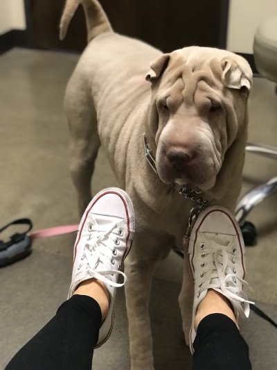 Watch Fauna Grey's leaked NSFW photo on TwXstars