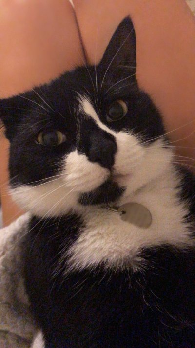 Watch 𝐊𝐞𝐥𝐥𝐲𝐛𝐬𝐰𝐨𝐫𝐥𝐝😻's leaked NSFW photo on TwXstars