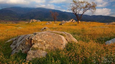 Watch Roxy Raye's leaked NSFW photo on TwXstars