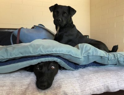 Watch adrianachechik's leaked NSFW photo on TwXstars