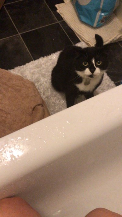 Watch 𝐊𝐞𝐥𝐥𝐲𝐛𝐬𝐰𝐨𝐫𝐥𝐝😻's leaked NSFW photo on TwXstars