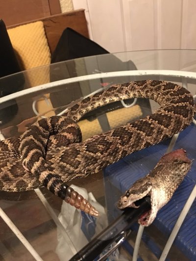 Watch Roxy Raye's leaked NSFW photo on TwXstars