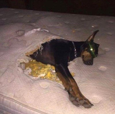 Watch EMILY ORTIZ's leaked NSFW photo on TwXstars