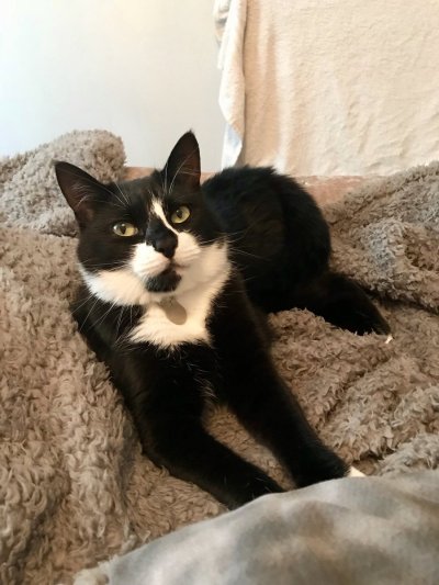 Watch 𝐊𝐞𝐥𝐥𝐲𝐛𝐬𝐰𝐨𝐫𝐥𝐝😻's leaked NSFW photo on TwXstars