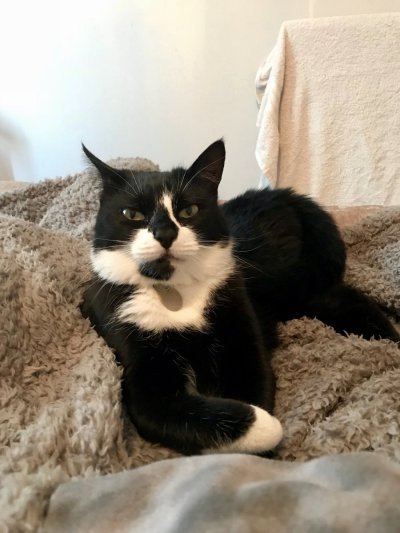 Watch 𝐊𝐞𝐥𝐥𝐲𝐛𝐬𝐰𝐨𝐫𝐥𝐝😻's leaked NSFW photo on TwXstars