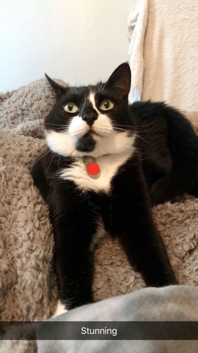 Watch 𝐊𝐞𝐥𝐥𝐲𝐛𝐬𝐰𝐨𝐫𝐥𝐝😻's leaked NSFW photo on TwXstars