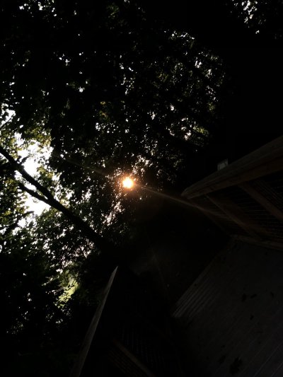 Watch Saleema 💖's leaked NSFW photo on TwXstars