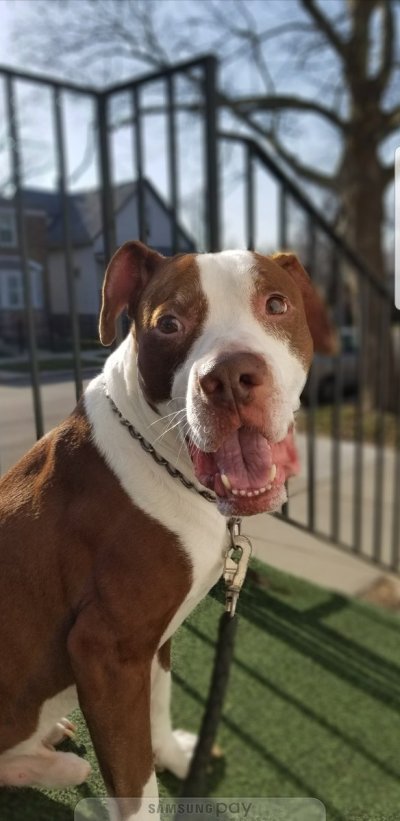 Watch Hangin On Like Wayne's Dreads's leaked NSFW photo on TwXstars