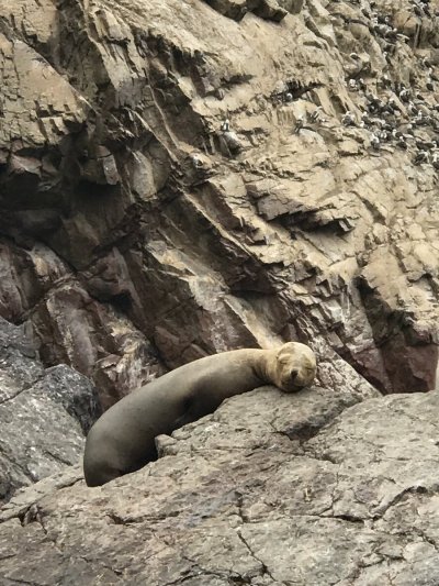 Watch loren's leaked NSFW photo on TwXstars