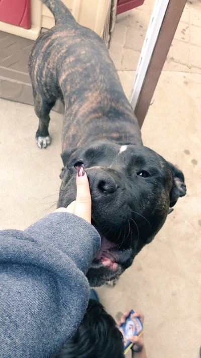 Watch genbxnz♡'s leaked NSFW photo on TwXstars