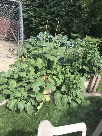 Watch February’s Finest's leaked NSFW photo on TwXstars