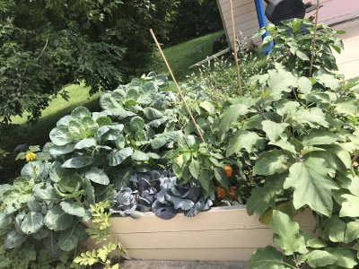 Watch February’s Finest's leaked NSFW photo on TwXstars