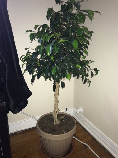 Watch Mandy Muse's leaked NSFW photo on TwXstars