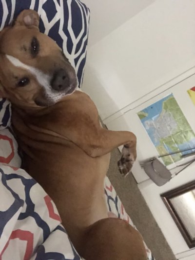 Watch jasmine's leaked NSFW photo on TwXstars