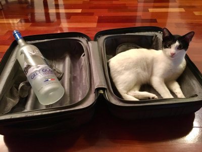 Watch Dagamii ✨'s leaked NSFW photo on TwXstars