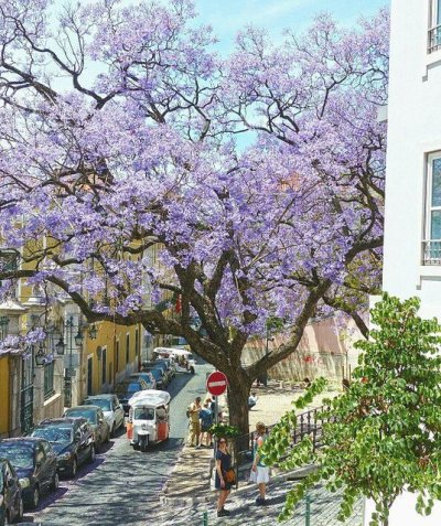 Watch Nicholas Alan's leaked NSFW photo on TwXstars