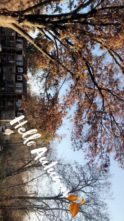 Watch epiphany✨'s leaked NSFW photo on TwXstars