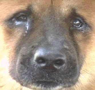 Watch chan's leaked NSFW photo on TwXstars