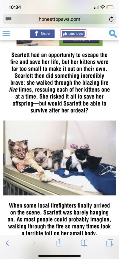 Watch Soph ❤️‍🔥's leaked NSFW photo on TwXstars