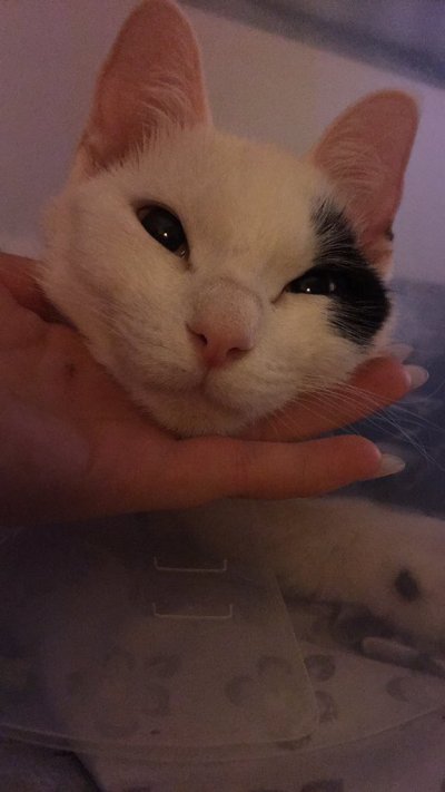 Watch alice pink 💓's leaked NSFW photo on TwXstars