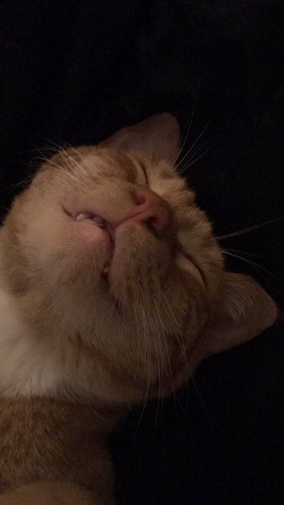 Watch alice pink 💓's leaked NSFW photo on TwXstars