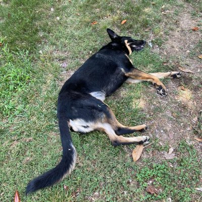 Watch Erik Jones's leaked NSFW photo on TwXstars