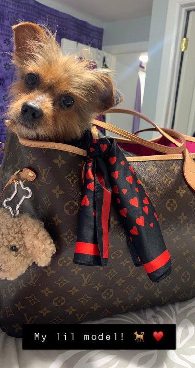 Watch C h e l l e 🍓🤍's leaked NSFW photo on TwXstars