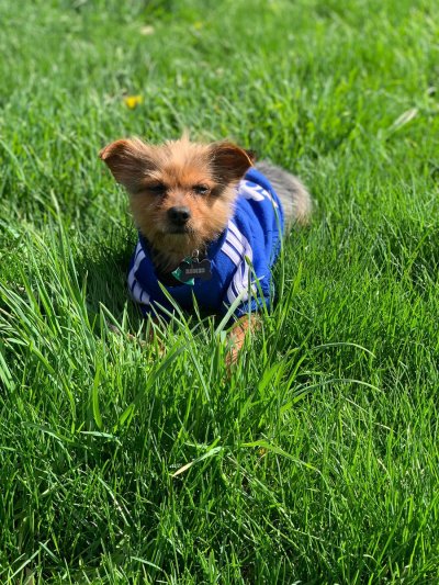 Watch C h e l l e 🍓🤍's leaked NSFW photo on TwXstars