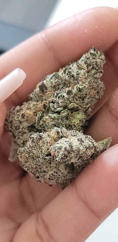 Watch rai's leaked NSFW photo on TwXstars