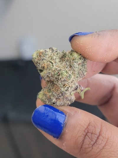 Watch rai's leaked NSFW photo on TwXstars