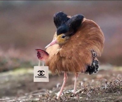 Watch C h e l l e 🍓🤍's leaked NSFW photo on TwXstars