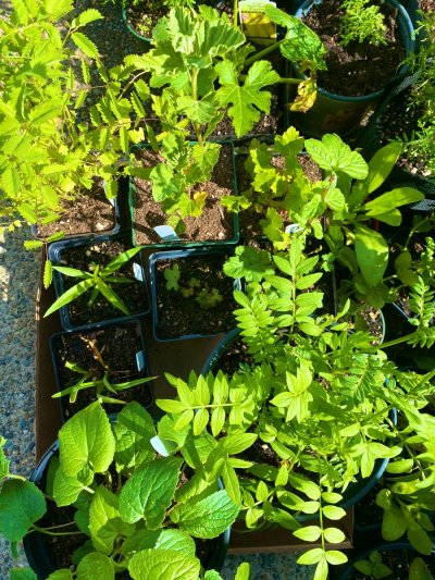 Watch 🌈 kezia slater💘's leaked NSFW photo on TwXstars