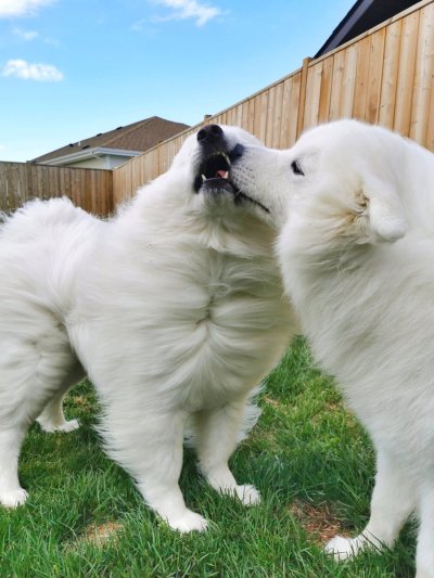 Watch Alinity's leaked NSFW photo on TwXstars