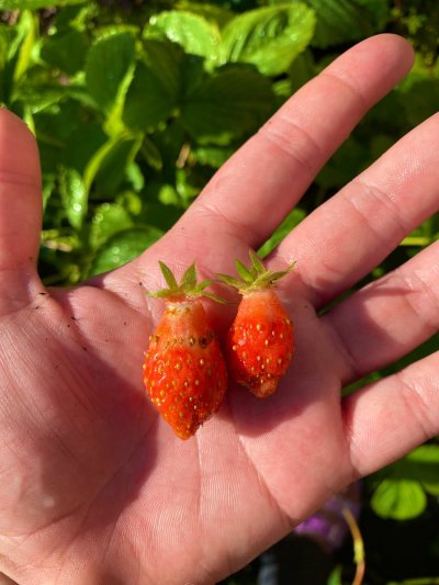 Watch 🌈 kezia slater💘's leaked NSFW photo on TwXstars