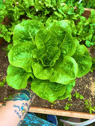 Watch 🌈 kezia slater💘's leaked NSFW photo on TwXstars