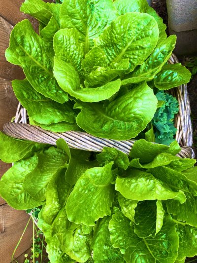 Watch 🌈 kezia slater💘's leaked NSFW photo on TwXstars